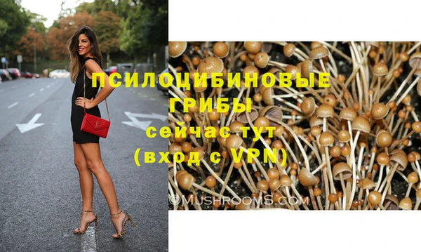 кокс Корсаков