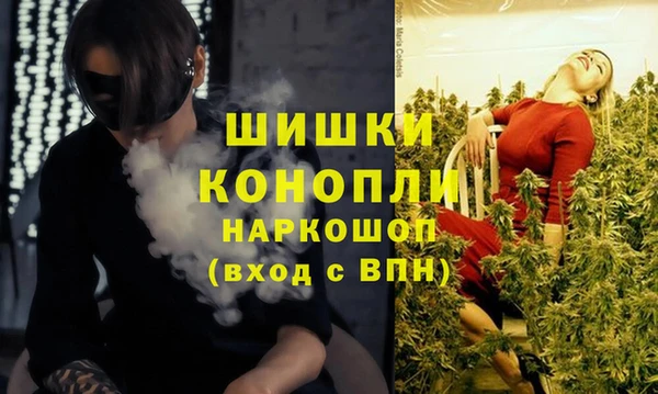 кокс Корсаков