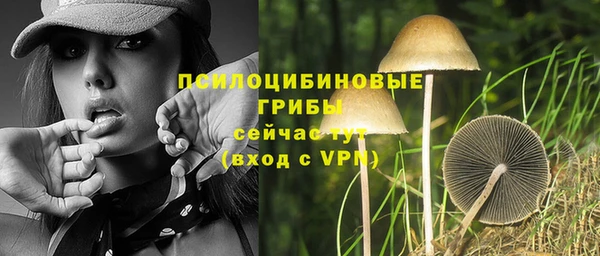 кокс Корсаков
